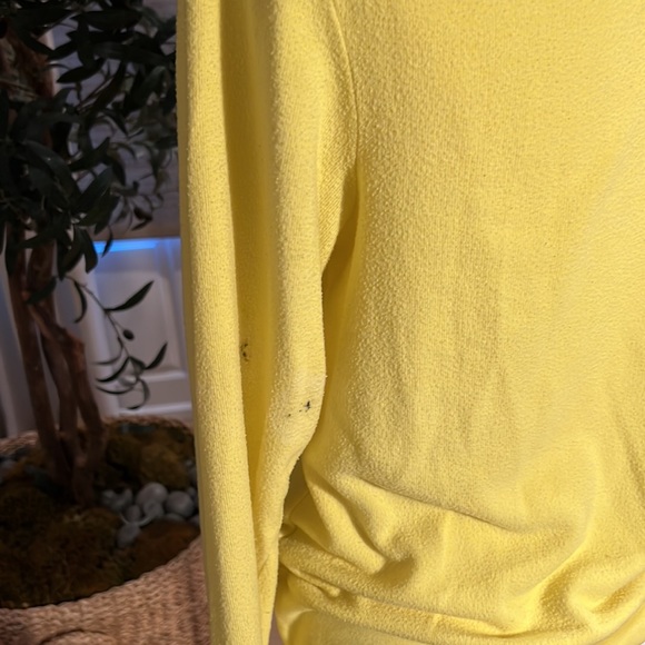 Wildfox Pineapple Graphic Oversized Pullover size XS - Picture 4 of 6